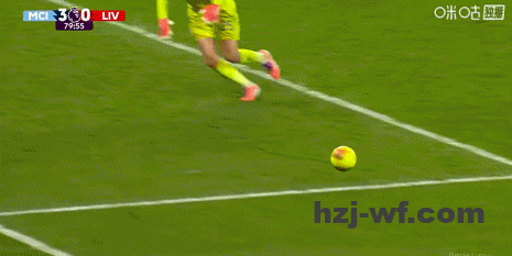 39b580bfg00t5h1y002dhd000cx006hg