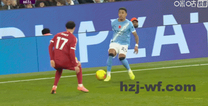 f2995ebdg00t5h1y003lrd000bt0060g